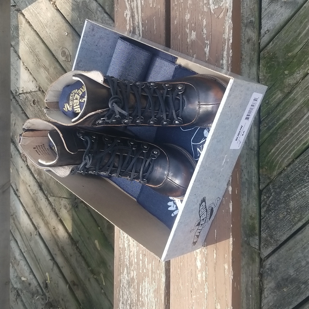 Freebird by Steven Borow